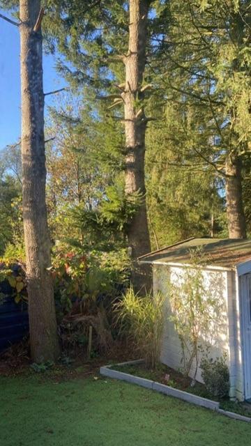 Boutique Chalet Veluwe Putten Ngoại thất bức ảnh